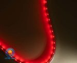 ریسه ۱۲ ولت تراکم ۶۰ RGB 3